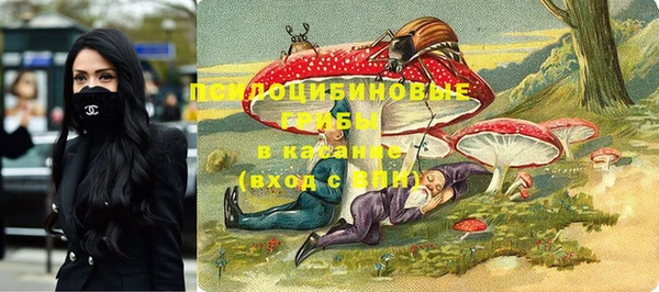 ешки Балахна