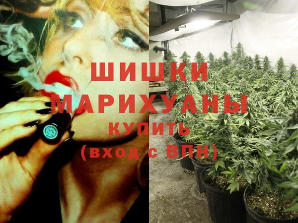 прущие крисы Баксан