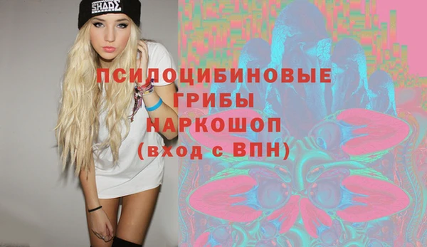 ешки Балахна